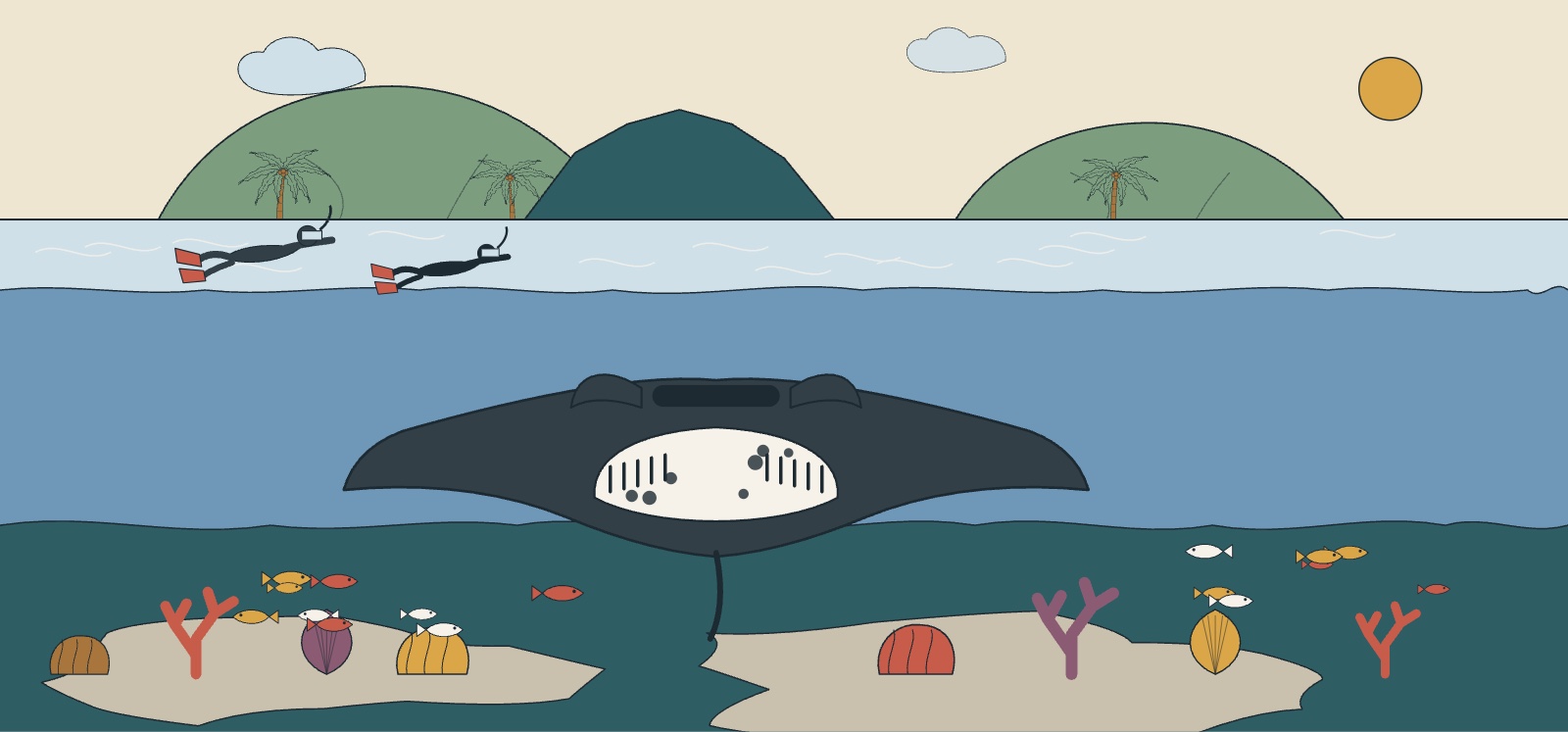 Illustration of a manta ray gliding past snorkelers above a reef in the Yasawa Islands